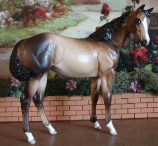 Peter Stone model horse Ooak weanling 4