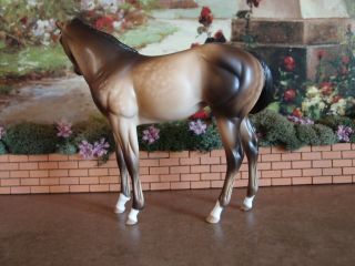 Peter Stone model horse Ooak weanling 5
