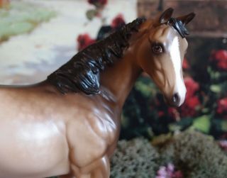Peter Stone model horse Ooak weanling 6