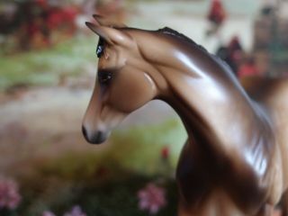 Peter Stone model horse Ooak weanling 7
