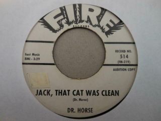 R&b 45 Dr Horse On Fire Dj Jack That Cat Was Clean/salt Pork West Virginia