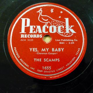 The Scamps Doo - Wop 78 Yes My Baby / Waterproof On Minus Peacock Rj 162