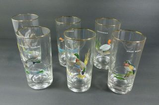 Set Of 6 Vintage Ned Smith Waterfowl Highball Glasses Gold Rim Hand Painted Duck
