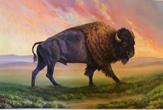 Western Buffalo Oil Painting On Canvas Signed By The Italian Artist
