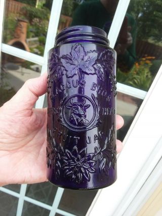 Deep Purple Flaccus Bros Steers Head Fruit Jar Ground Top Embossed Graphics
