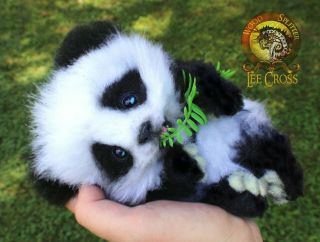 Lee Cross Poseable One Of A Kind Baby Panda