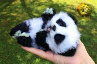 Lee Cross Poseable One of a Kind Baby Panda 5