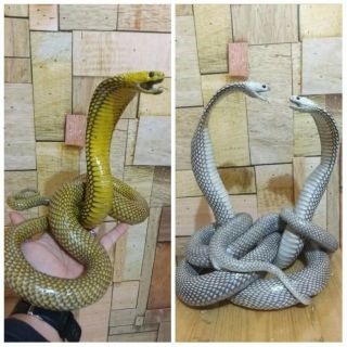 Fighting Cobra And Yellow Gold Cobra Statue Taxidermy
