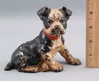 Small Antique Hubley Sitting Boston Terrier Cast Iron Puppy Dog Sculpture