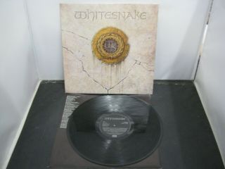 Vinyl Record Album Whitesnake Serpens Albus (180) 16
