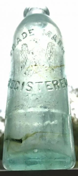 Error Antique Eagle Hutch Nail Embedded In Glass 1890’s John L Mynders Schenect