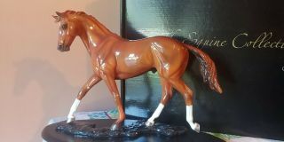 Starlite Creations,  8511,  Secretariat,  Triple Crown Winner,  W.  Lovely Horse
