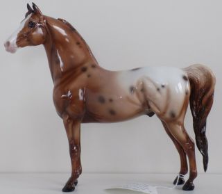 Peter Stone Horse - Spotted Out - Ooak - Chestnut Appaloosa Morgan