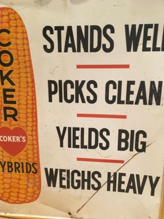 old Coker’s Hybrid Corn (stands well,  picks,  yields big,  weighs heavy) 3