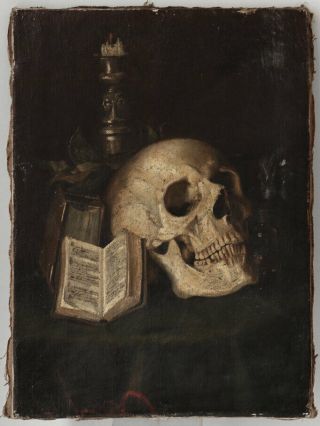 Exceptional 19th Century Human Skull Still Life,  Memento Mori,  Vanitas