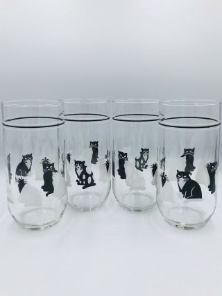 Set Of 4 Vintage Cat Tall Drinking Glasses Kitten Cats Cups Tumbler 16oz