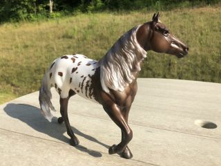 Breyer Breyerfest 2019 Quill Matte Horse Special Run Appaloosa Pearly Mane Sr