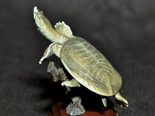 Nature Techni Colour Turtle Gashapon " Chinese Soft Shelled Trutle "