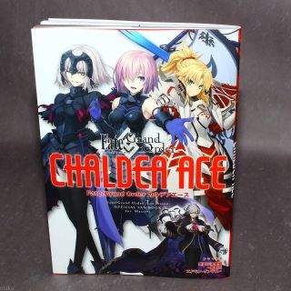 Fate/grand Order Chaldea Ace 1st Season Official Fan Book Japan Anime Art