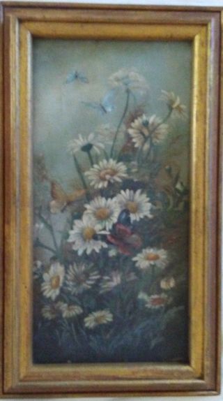 Antique Butterfly And Daisy Genre,  19th Century,  8 " By 16 "
