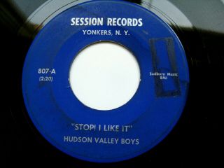 Hudson Valley Boys " Stop I Like It " Sessions 807 45 Rpm Rockabilly Vg,