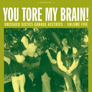 362 Various Artists - Unissued Sixties Garage Acetates Vol.  5: You Tore My Brain