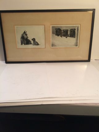 Pencil Signed Morgan Dennis Scottish Terrier Prints 1930’s