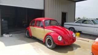 vw bug classic car Volkswagen 8