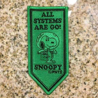Peanuts Snoopy Astronaut Patch - Sdcc 2019 Comic Con Exclusive