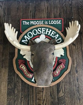Large 3d Moosehead Canadian Beer Lager The Moose Is Loose Bar Sign Over 2 Feet