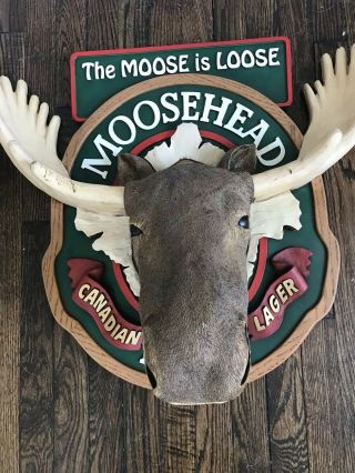 Large 3D MOOSEHEAD Canadian Beer Lager The Moose is Loose Bar Sign Over 2 Feet 2