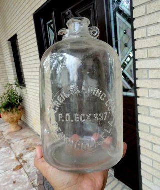 Greil Trading Co.  1 Gallon Slug Plate Whiskey Jug Pensacola,  Florida Fla 1800’s