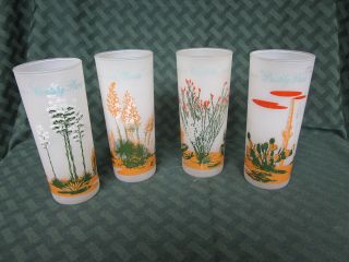 Vintage 1950s Blakely Gas Arizona Cactus 4 Frosted Highball Barware Glasses