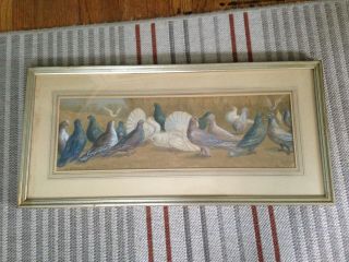 19th C Framed Watercolor Painting Signed J.  Stokes 1892 Pigeons & Doves