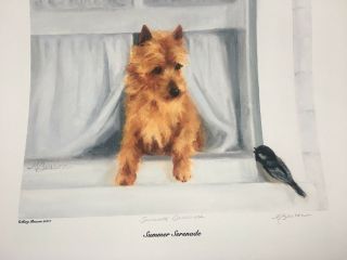 Australian Terrier Print By Mary Beacon