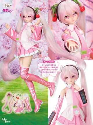 Sakura Miku Dollfie Dream Vocaloid Volks Doll Dolpa 41 Limite Japan 2019 Dd