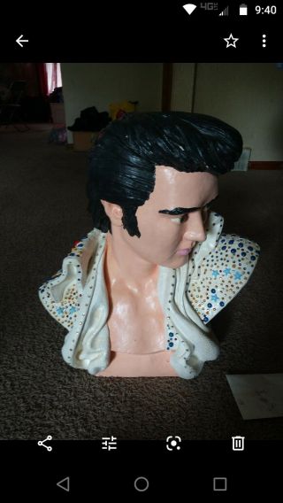 Elvis Presley Head Bust With Albums And A Picture