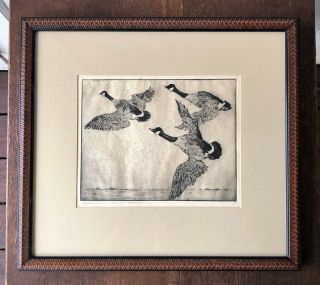 Benson B Moore Framed,  Signed Sporting Art Geese In Flight Etching