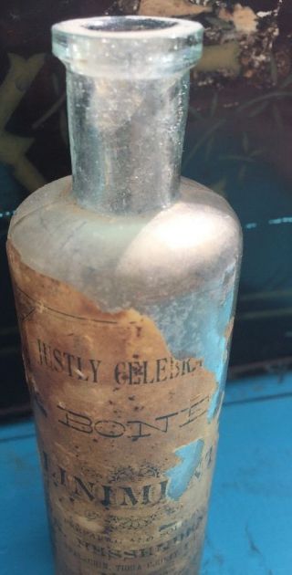 Awesome Antique Bottle Bone Liniment Orig Label Appalachian Tioga NY OLD RARE 4