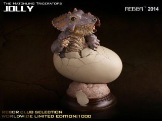 Rebor Dinosaur Collectables Hatchling Triceratops Jolly - Limited Edition Hot