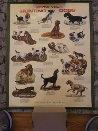 Vintage Remington Poster “ Know Your Hunting Dogs “