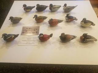 13 Miniature Duck Decoys Jett Brunet Ducks Unlimited,  Ward Bros Pintail 1936