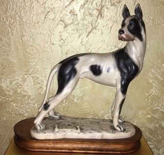 Harlequin Great Dane Dog Cacciapuoti Figurine 1982 Florence W Blue Capodimonte N