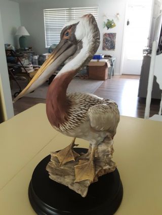 Kaiser Brown Pelican 534 Figurine Ltd Ed 492/1200 Artist Signed Tagliariolho