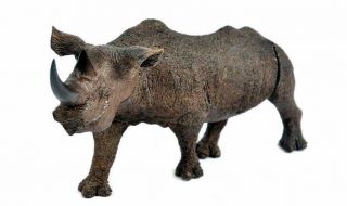 Rhinoceros Wood,  Carved & Signed A.  Chitura.  Length: 34cm