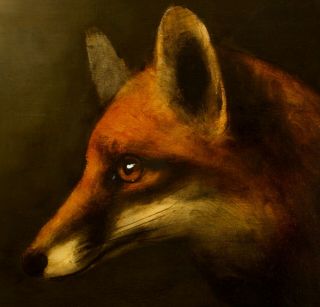 Fox Portrait : Oil Painting : Countryside Wildlife Art By David Andrews