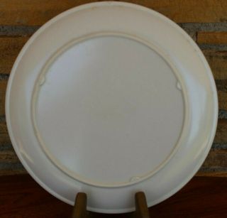 Rare Vintage Yogi Bear Jellystone Park Melmac Dinnerware Plastic Childrens Plate 2