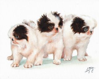 Oil Art Japanese Chin Portrait Painting Puppy Dog Artist Signed Artwork