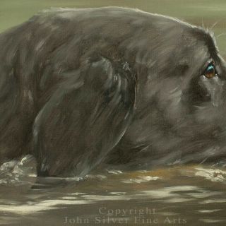BLACK LABRADOR RETRIEVER DOG OIL PAINTING by Master Artist JOHN SILVER 3