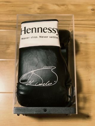 Rare Canelo Alvarez Signed Hennessy Boxing Gloves In Showcase